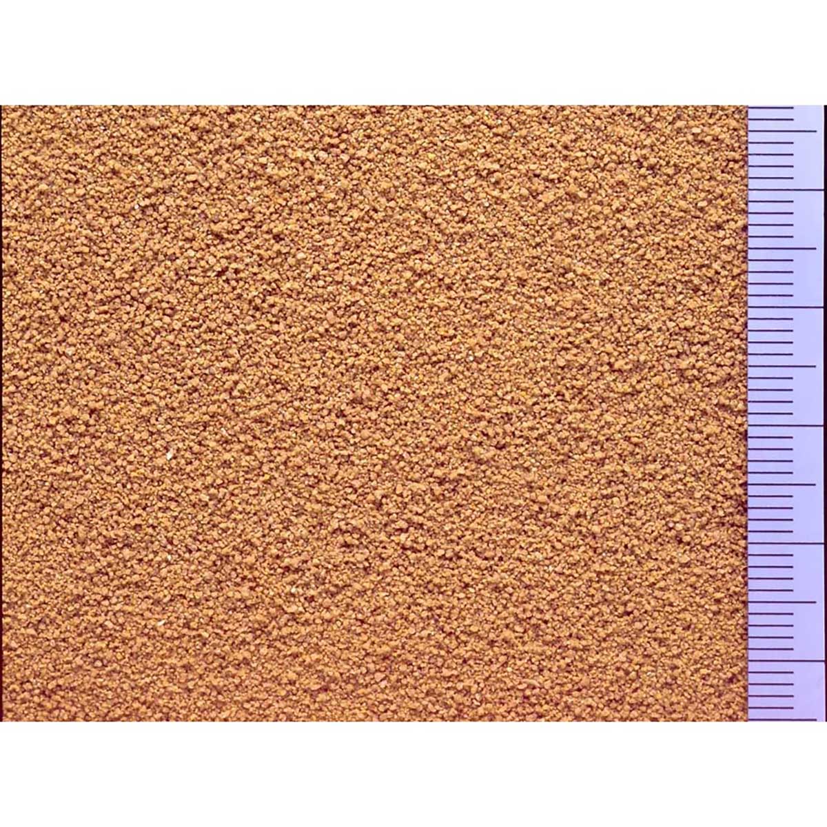【ペット】メダカのエサ　５０ｇ