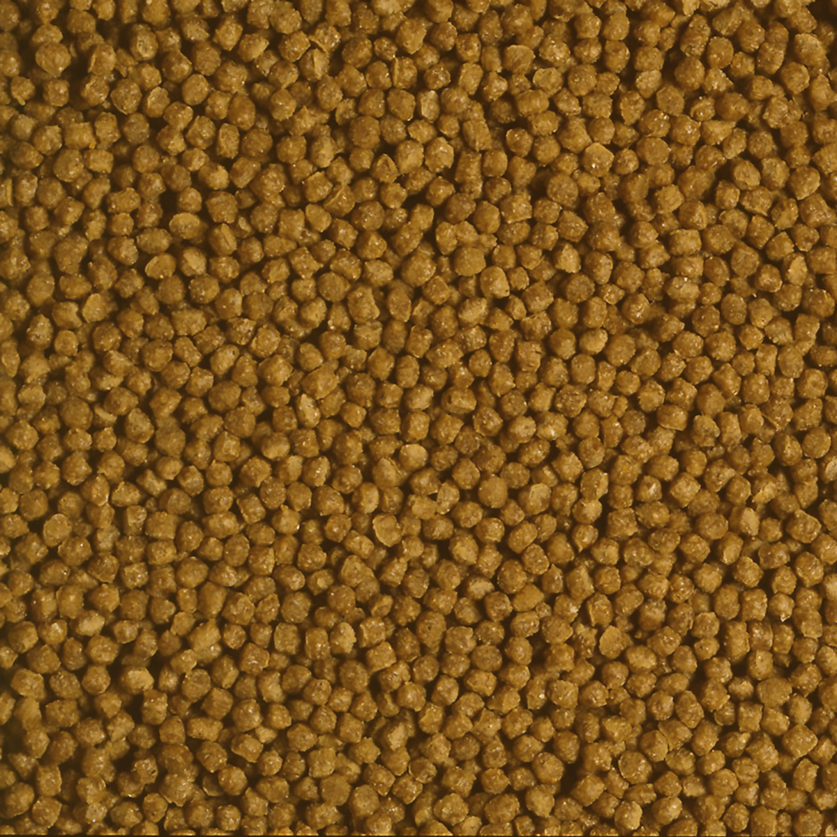 【ペット】キンギョのエサ　５０ｇ 280331