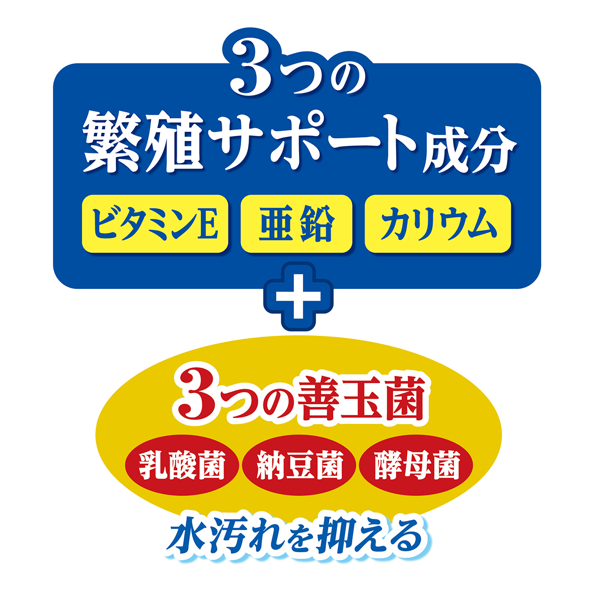 【ペット】メダカ元気繁殖・成長用プロバイオフード　４０ｇ