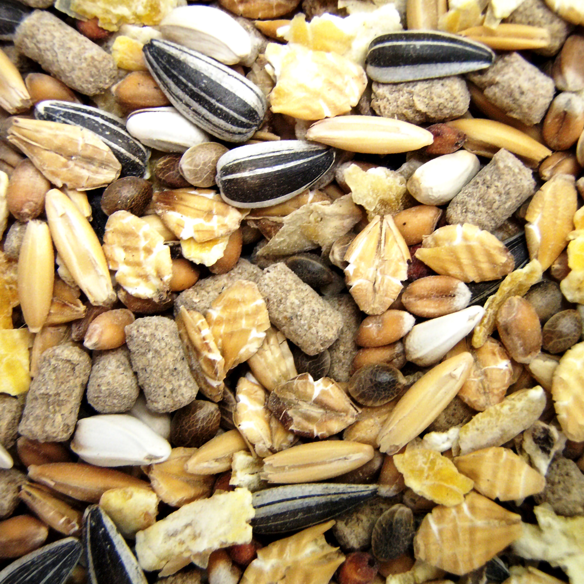 【ペット】ハーティーハムスター・リス 450g