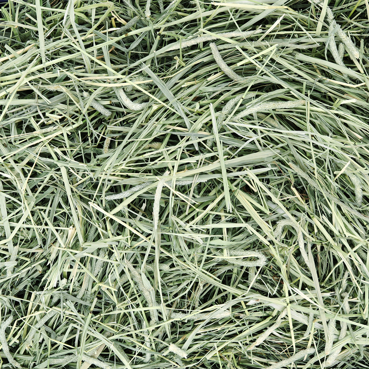 【ペット】アニマルファーム おいしい牧草 500g