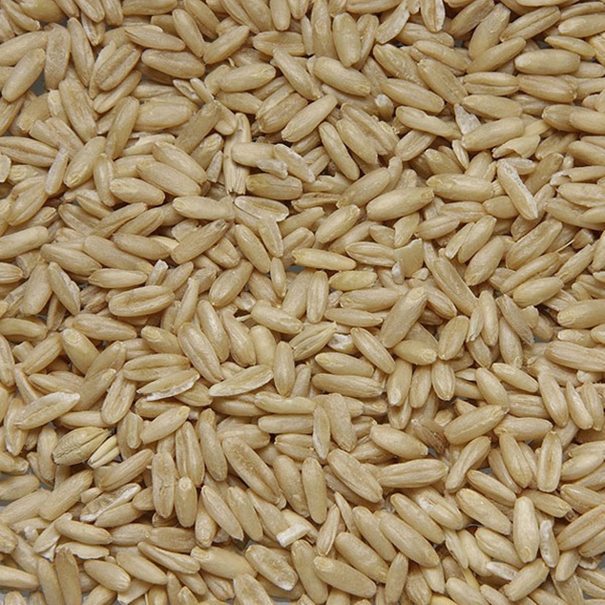 【ペット】小動物のむきエン麦 300g 270228