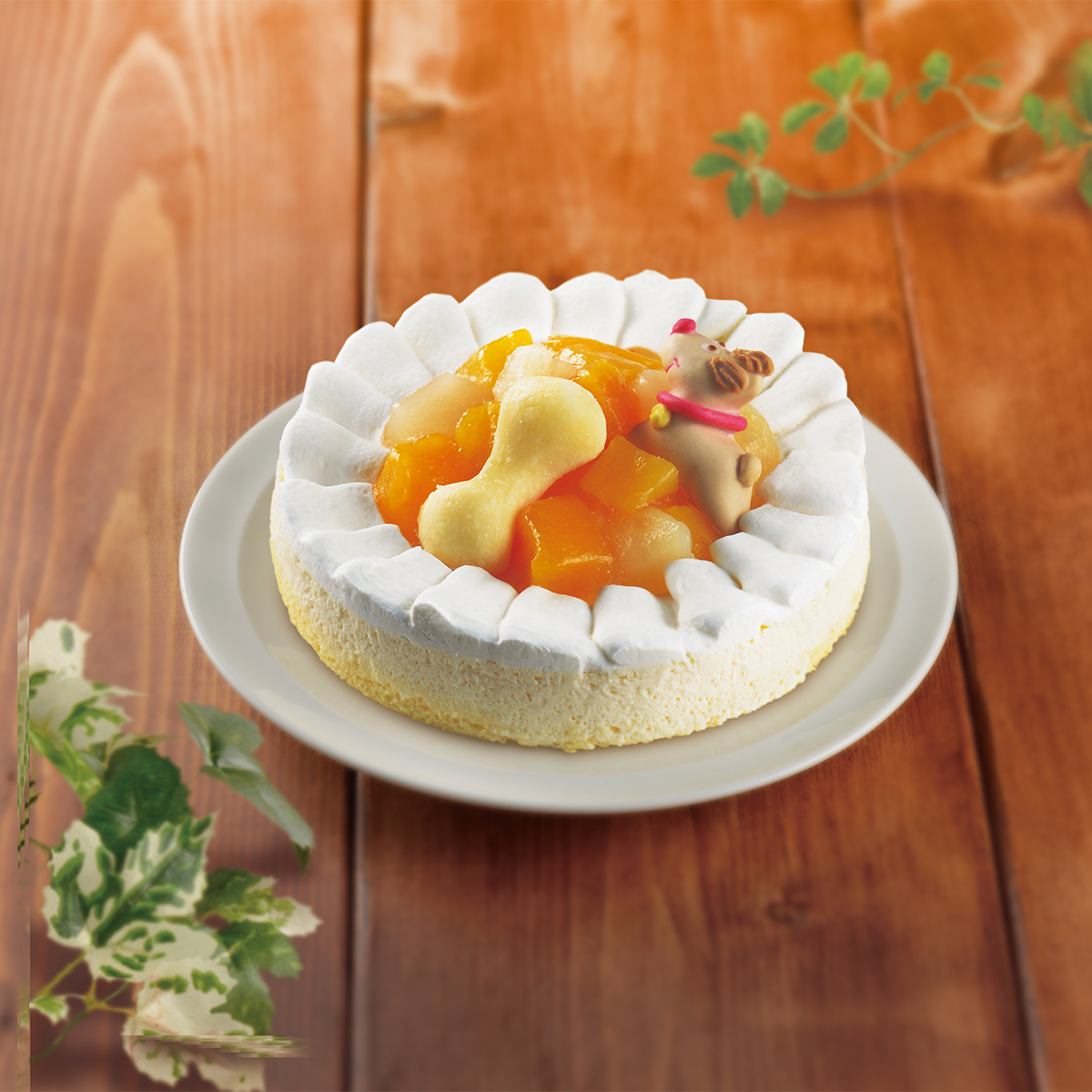 【冷凍】【ペット】PartnerFoods 記念日ケーキレアチーズ 260710