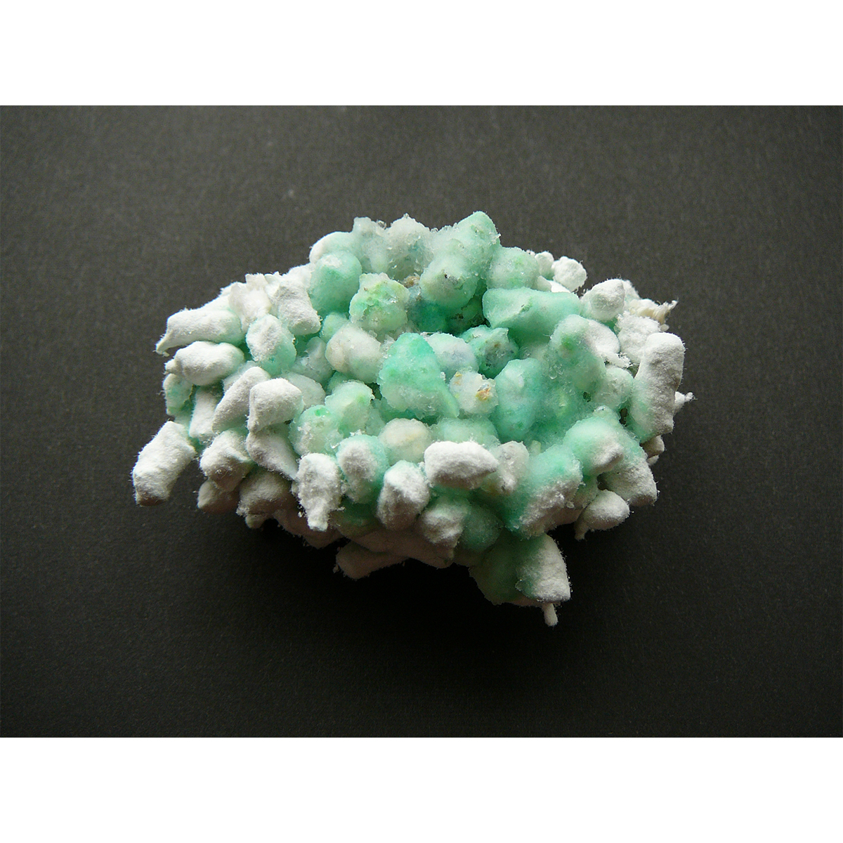 【ペット】ペーパーズグリーンせっけんの香り　６．５Ｌ