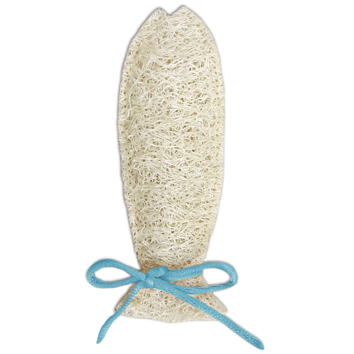 【ペット】にゃんデントヘチマでハミガキさかな　