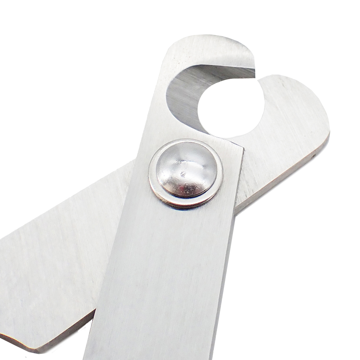 【ペット】モア　やさしい犬用爪切り　