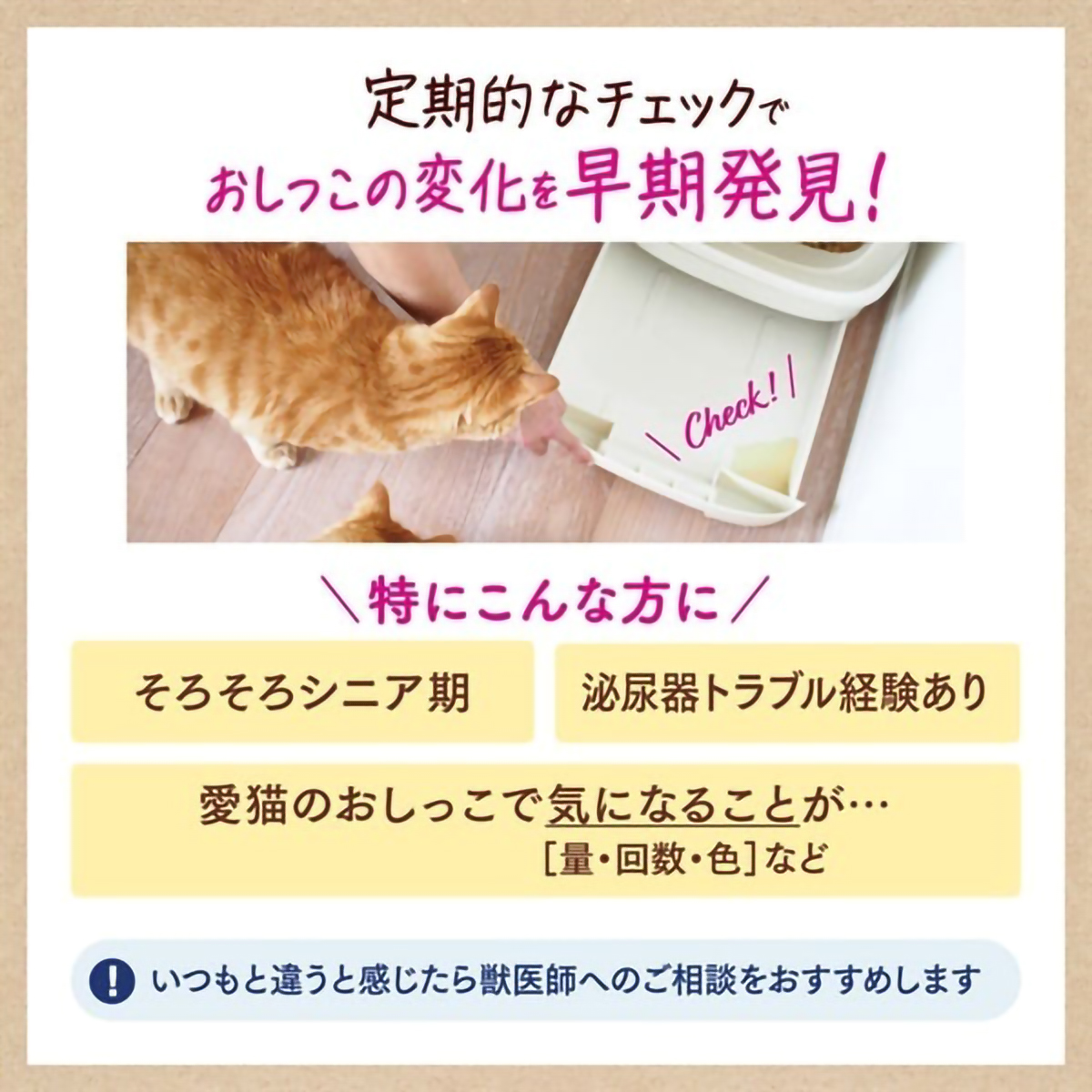 【ペット】足ふきウェットタオル　５０枚