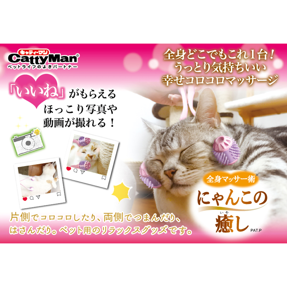 【ペット】全身マッサー術　にゃんこの癒し　