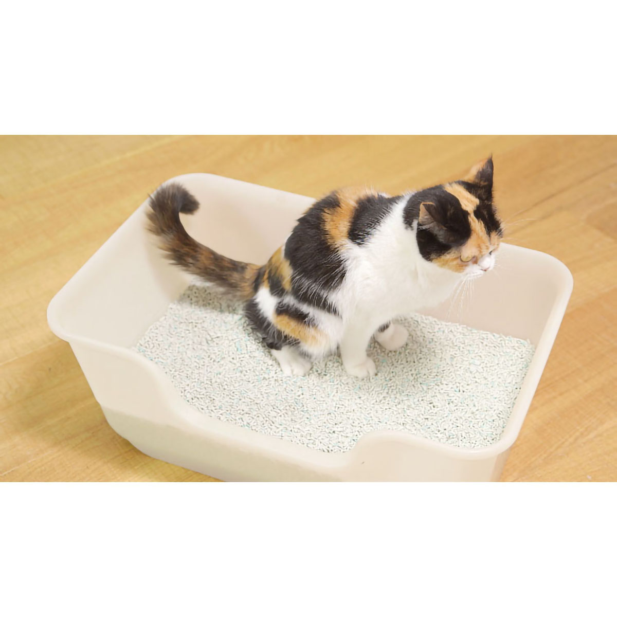 【ペット】ニオイをとる砂　フローラルソープの香り　５Ｌ