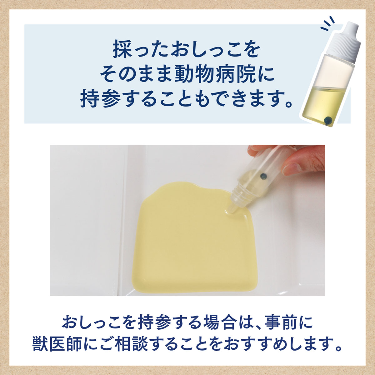 【ペット】ニャンとも清潔トイレ　おしっこチェックキット　