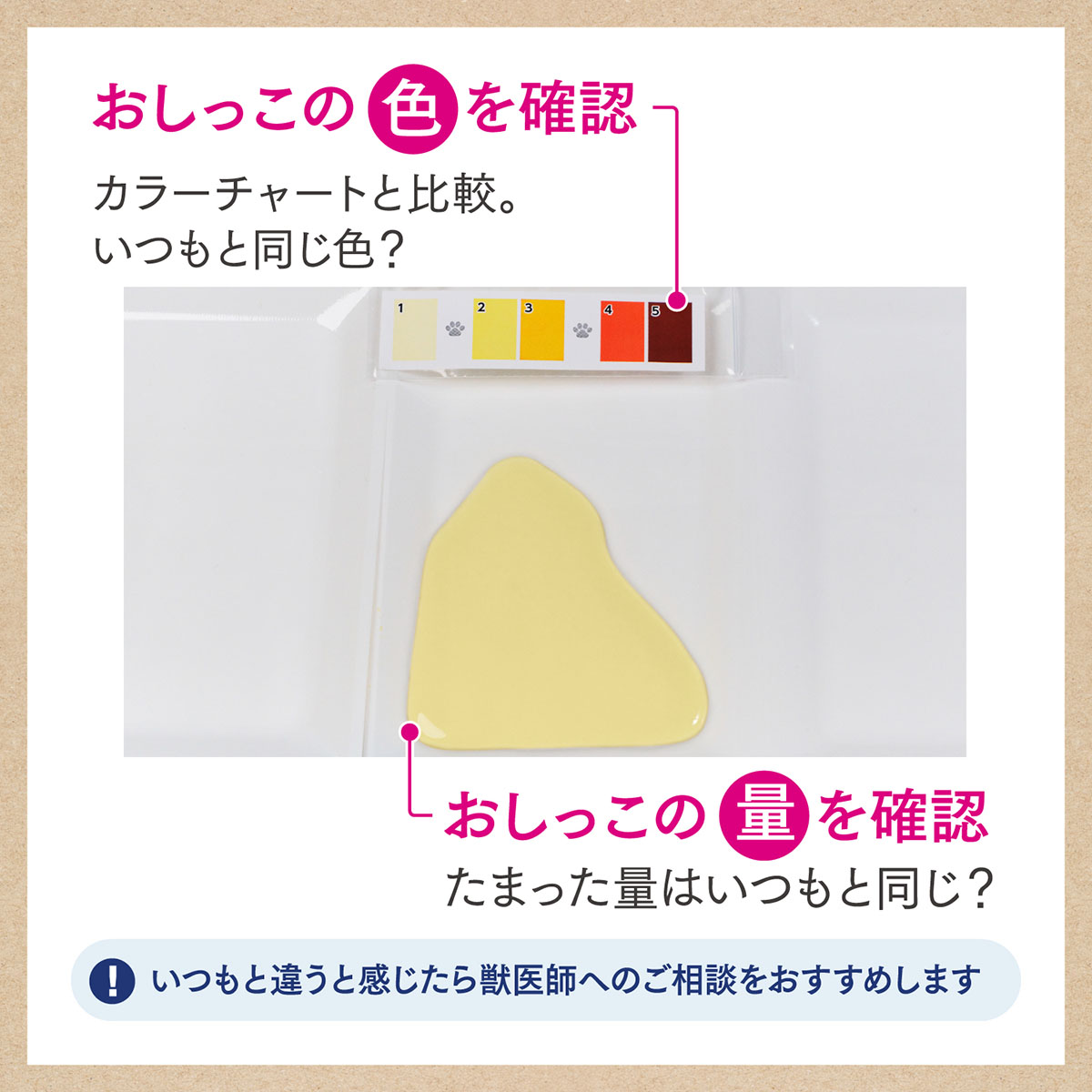 【ペット】ニャンとも清潔トイレ　おしっこチェックキット　