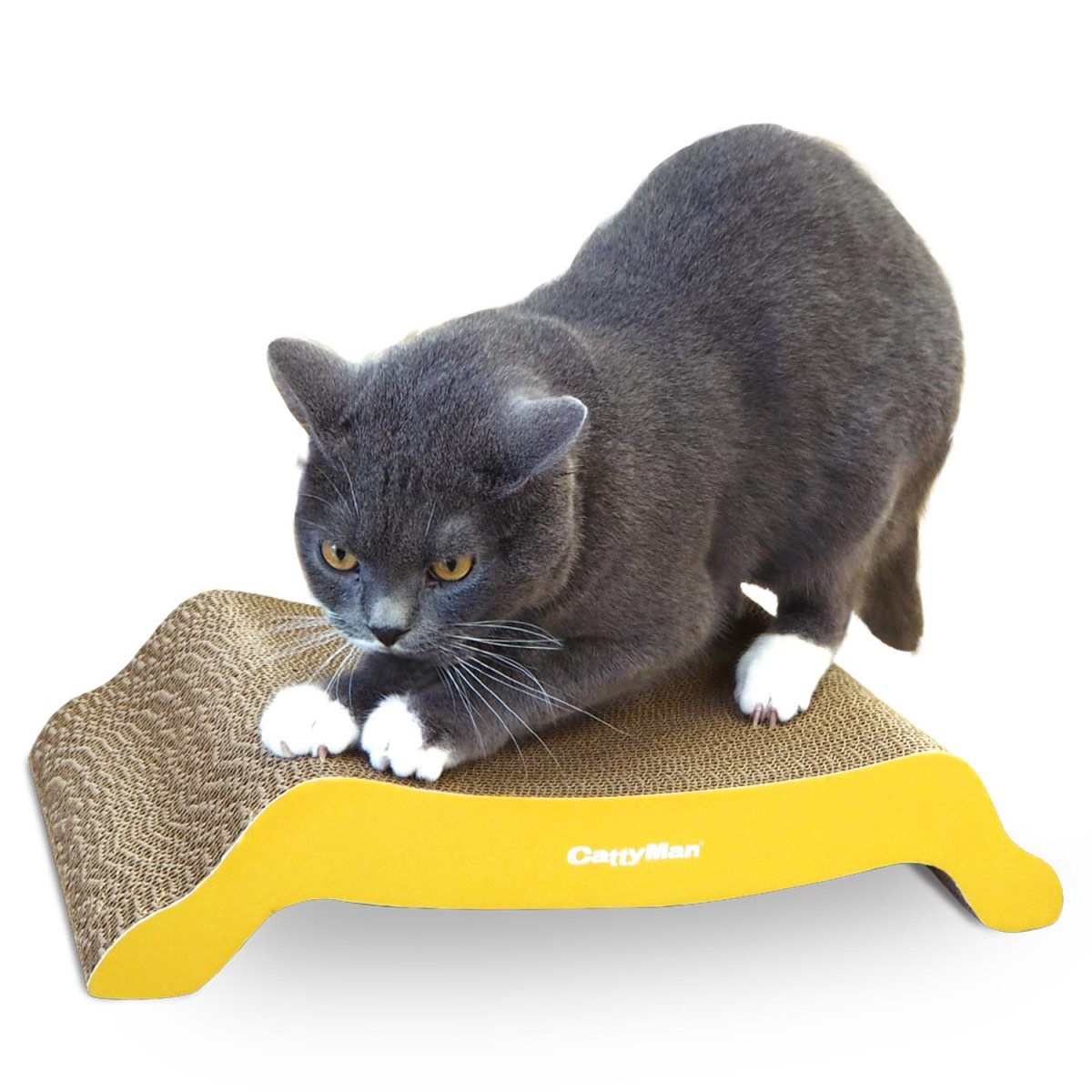 【ペット】ｉｒｏｔｏｇｉ　猫の爪みがき　ぶりっじ　