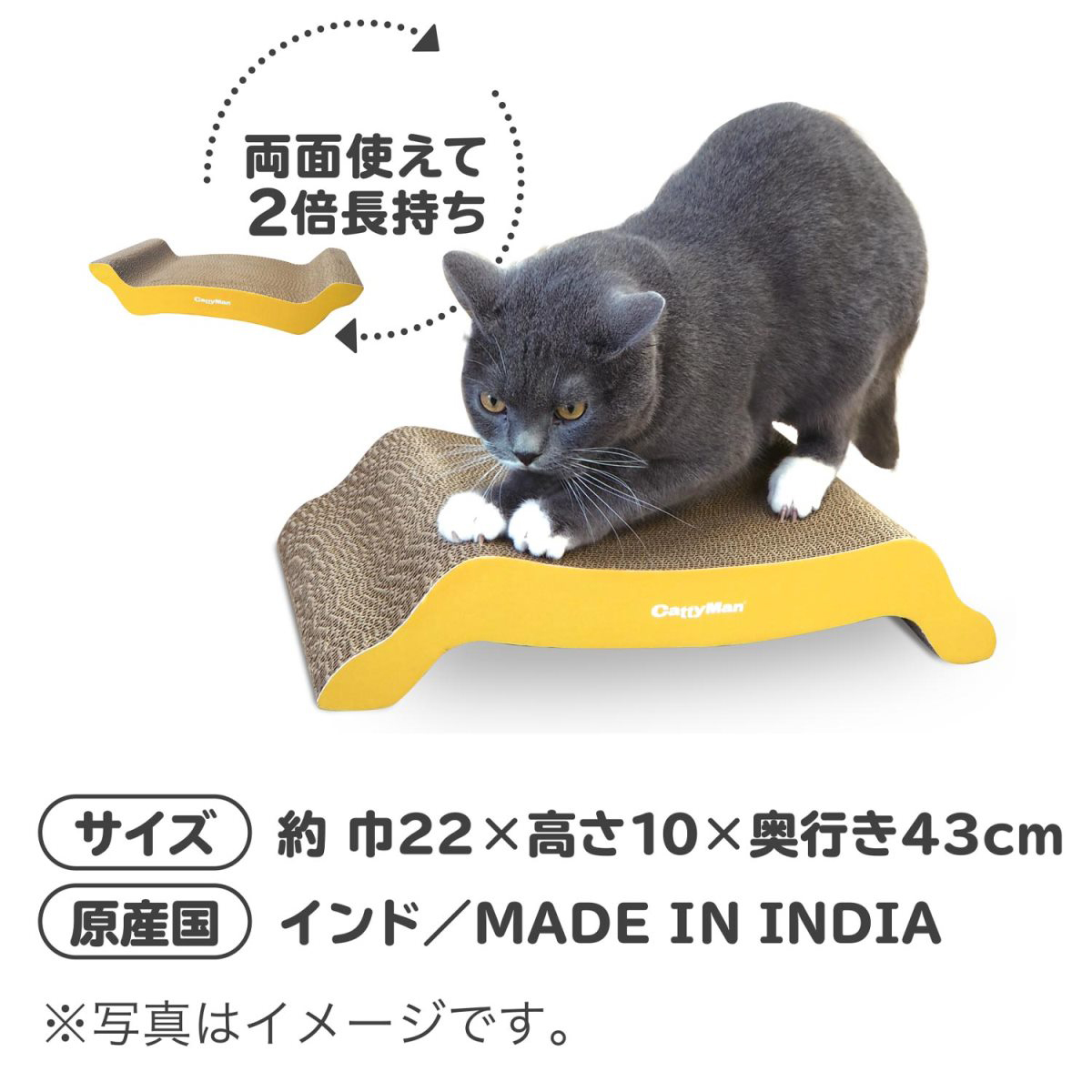 【ペット】ｉｒｏｔｏｇｉ　猫の爪みがき　ぶりっじ　