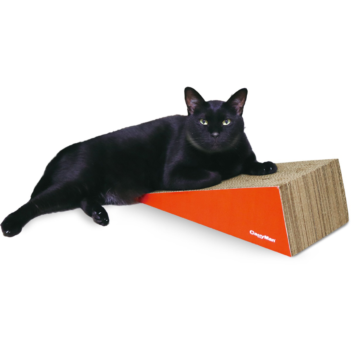 【ペット】ｉｒｏｔｏｇｉ　猫の爪みがき　すろーぷ　