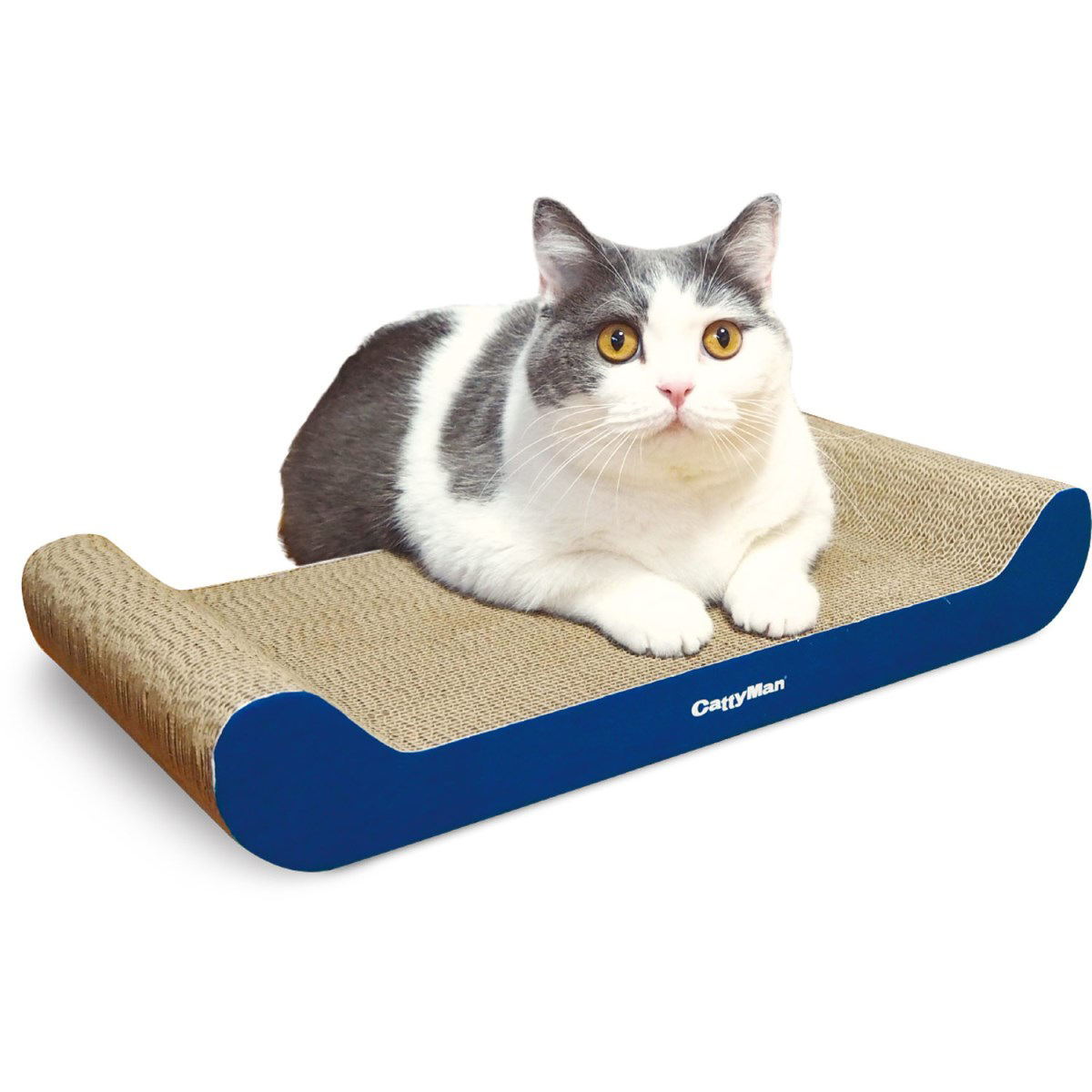 【ペット】ｉｒｏｔｏｇｉ　猫の爪みがき　すてーじ　