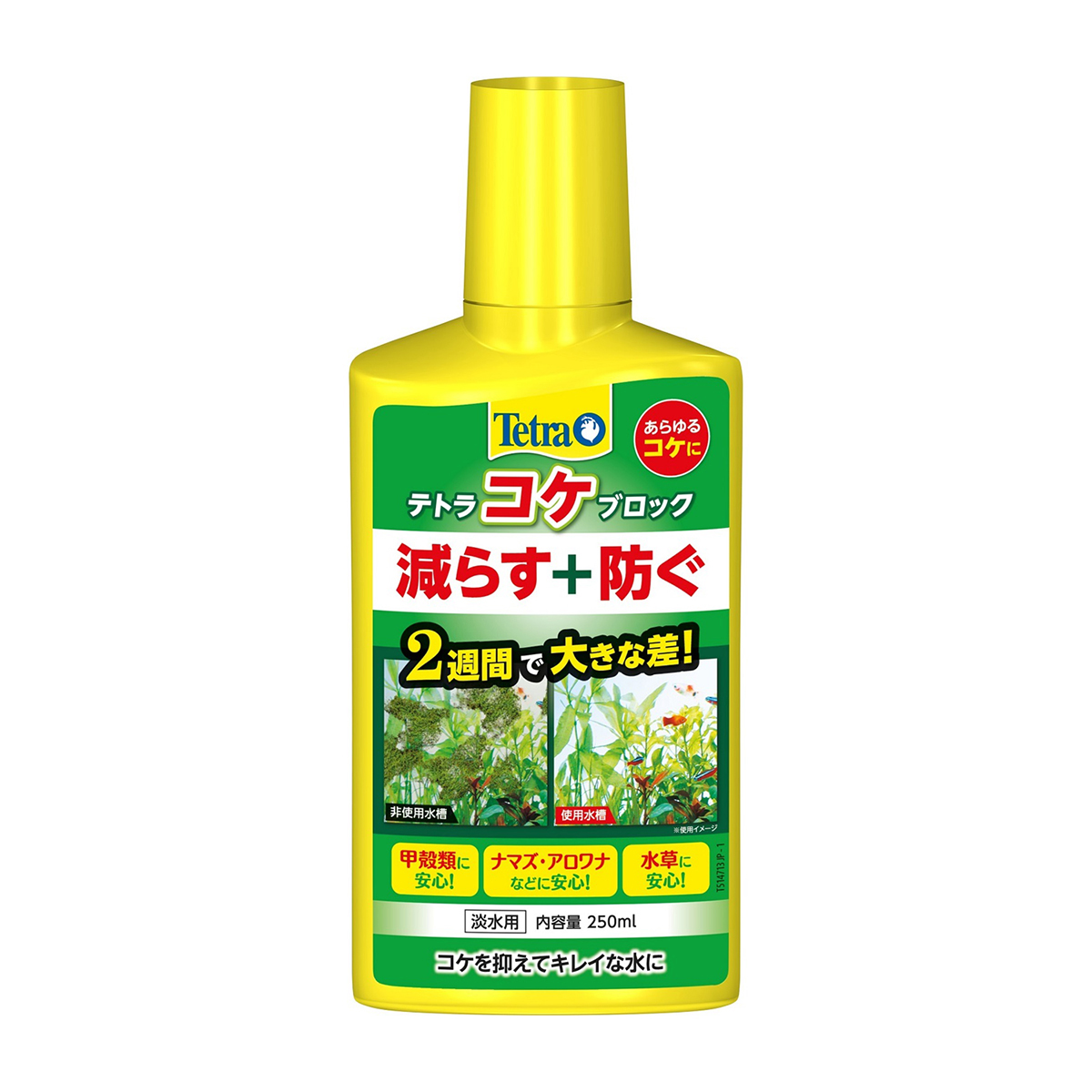 【ペット】テトラ　コケブロック　２５０ｍｌ