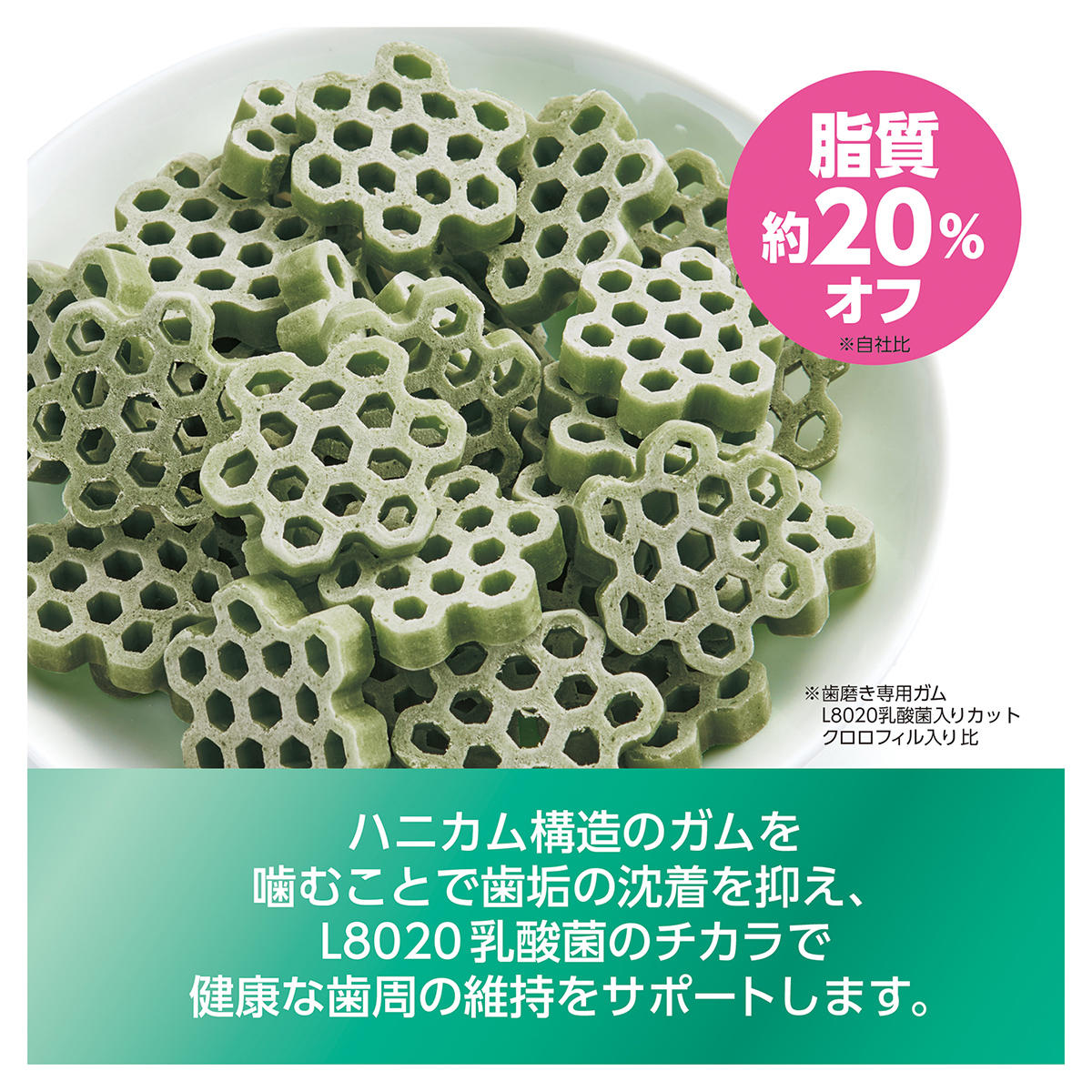 ペット】ゴン太の歯磨き専用ガム L8020乳酸菌入り カット