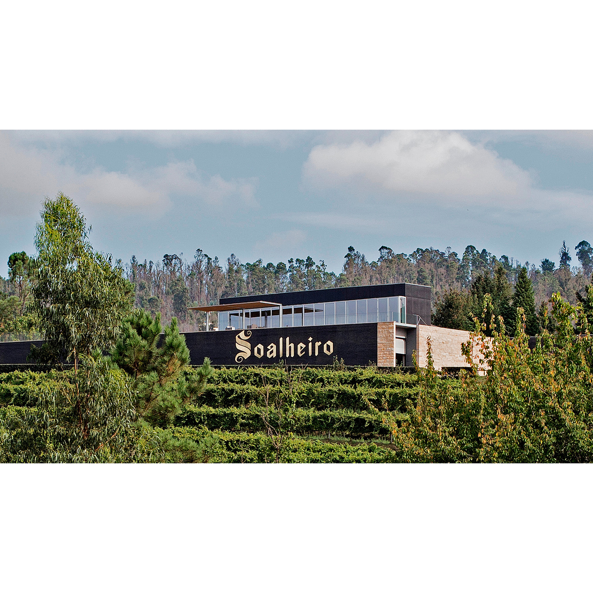 ソアリェイロ アルヴァリーニョ  750ml　【白ワイン　ポルトガル】