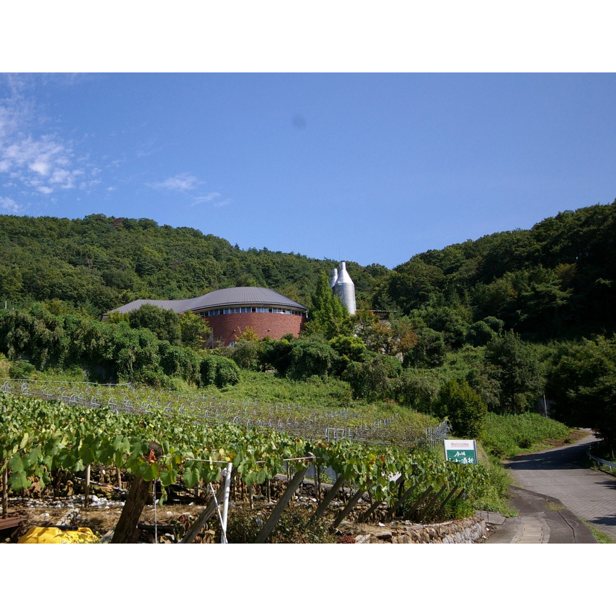 シャトー酒折ワイナリー 甲州セミスイート  750ml　【国産白ワイン　山梨県】