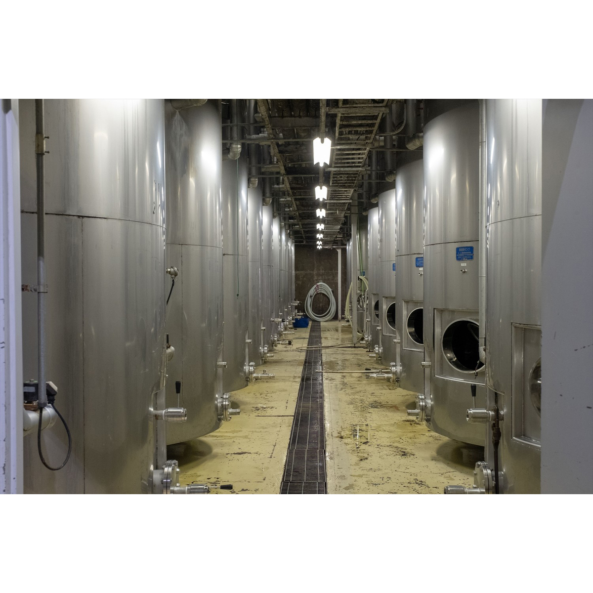 シャトー酒折ワイナリー 甲州 樽熟成 i-vines vineyard  750ml【国産白ワイン　山梨県】