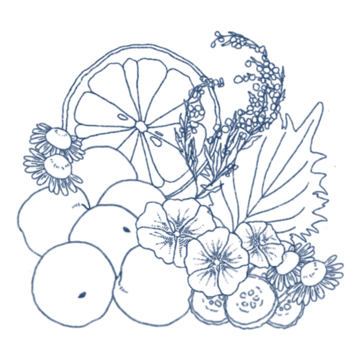 和花　ハイプルーフ　汐　500ml　【リキュール　岩手県】