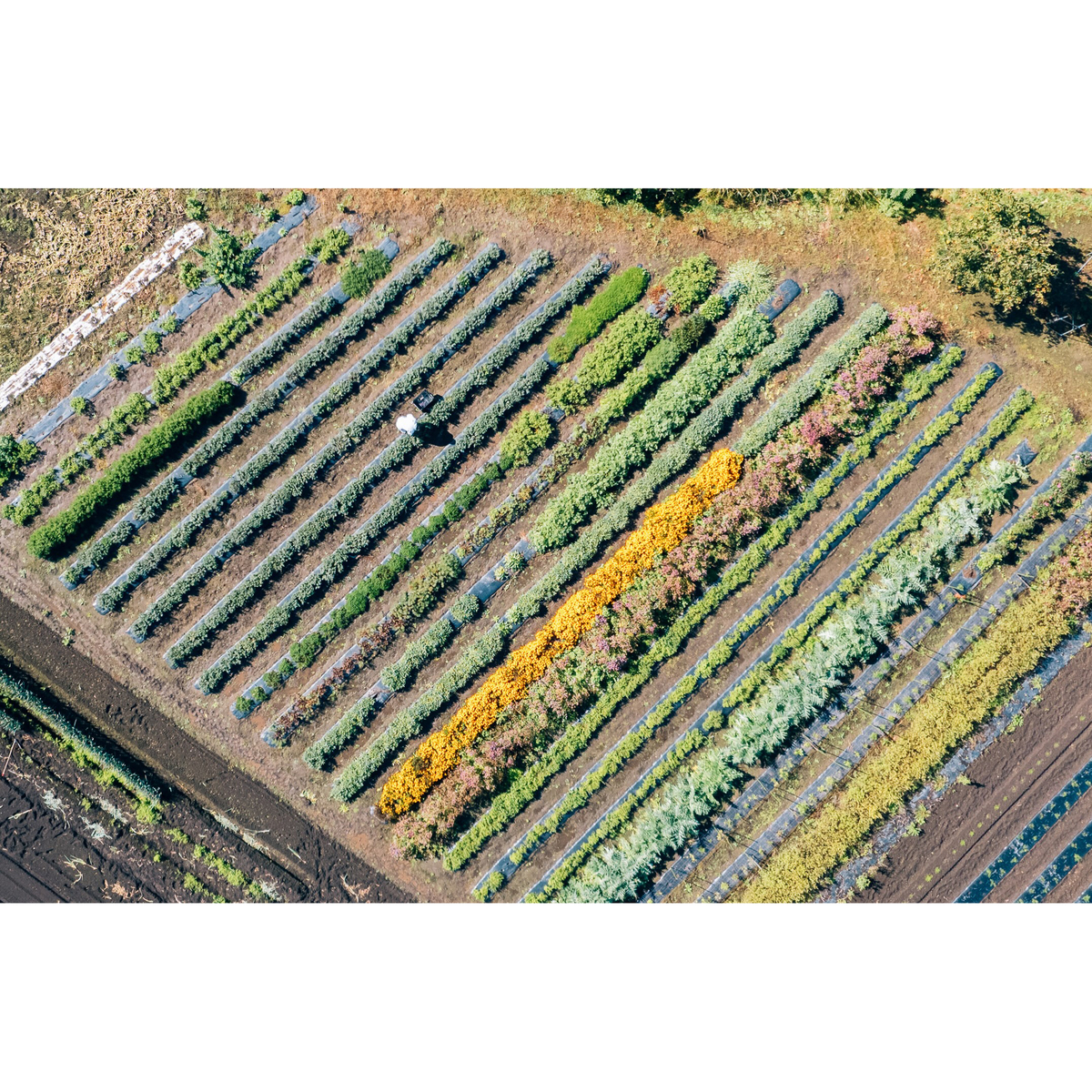 和花　ハイプルーフ　元　500ml　【リキュール　岩手県】