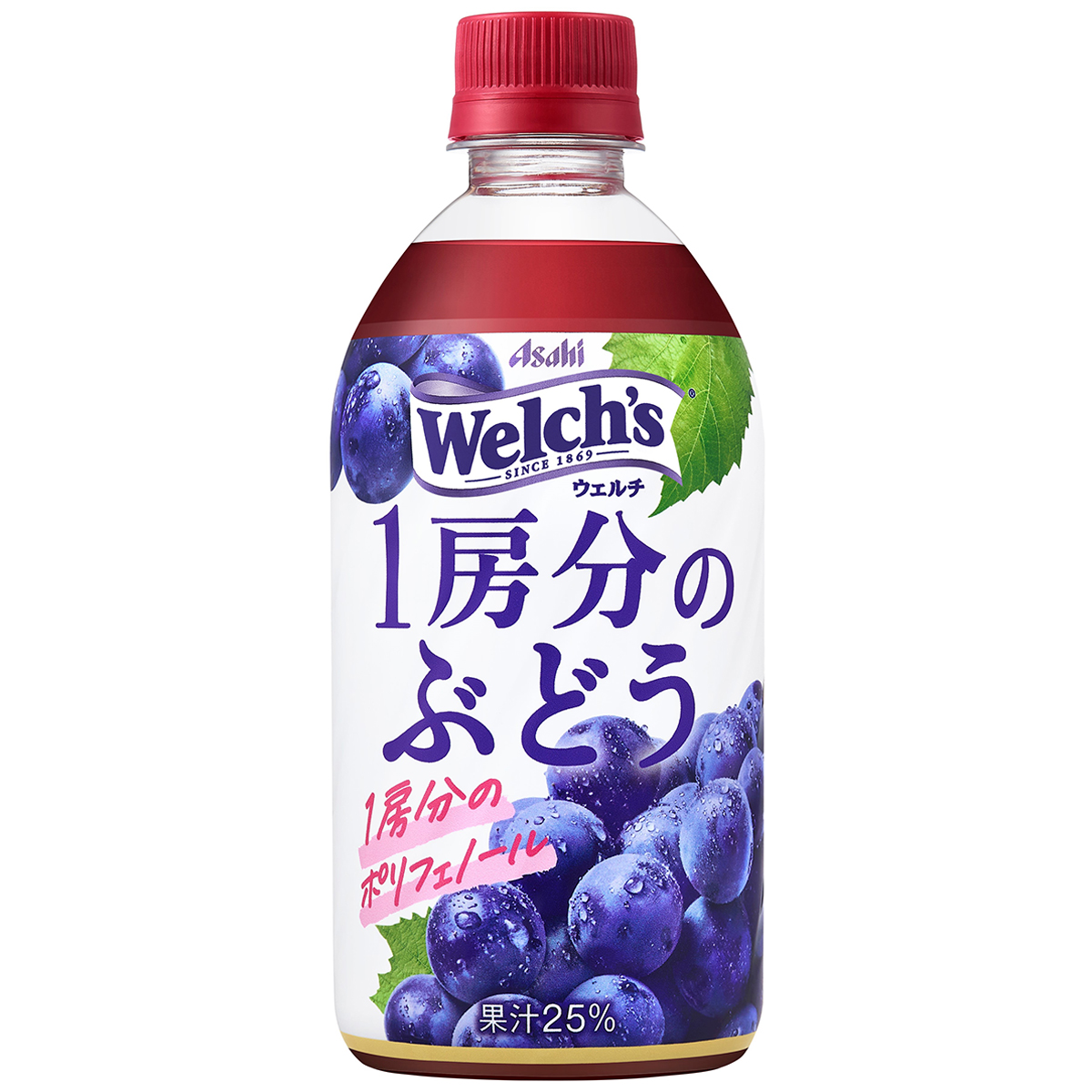 Ｗｅｌｃｈ’ｓ１房分のぶどう（ケース）470ml (24本) 260331