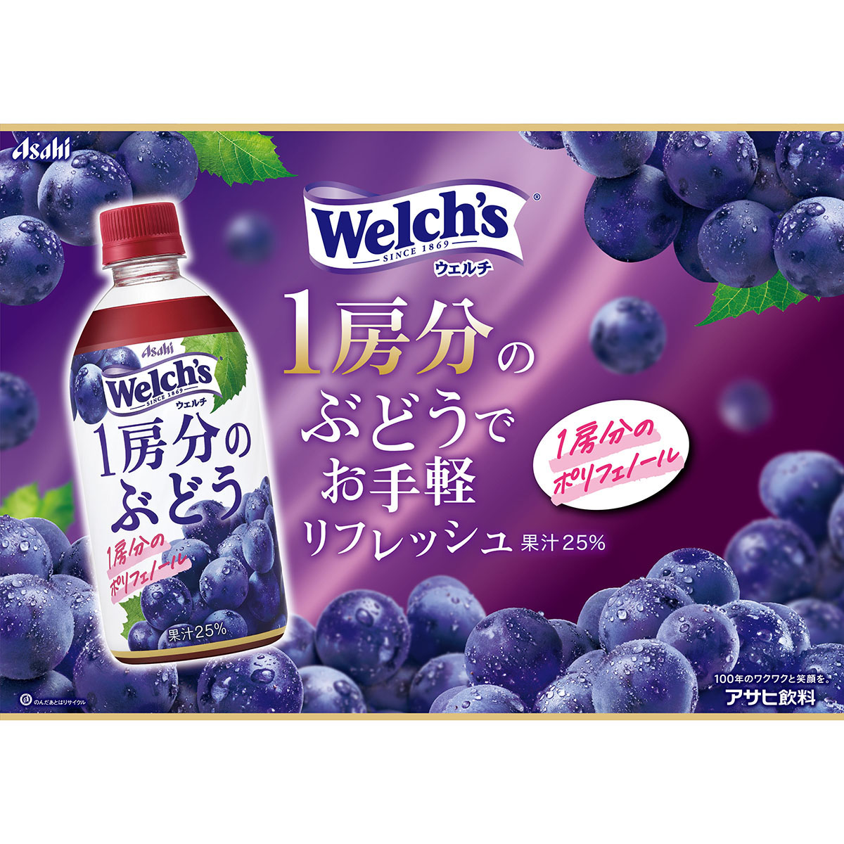 Ｗｅｌｃｈ’ｓ１房分のぶどう（ケース）470ml (24本) 260331