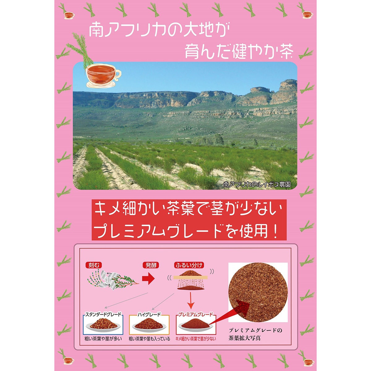 国太楼　ＡＴルイボス茶１００Ｐ