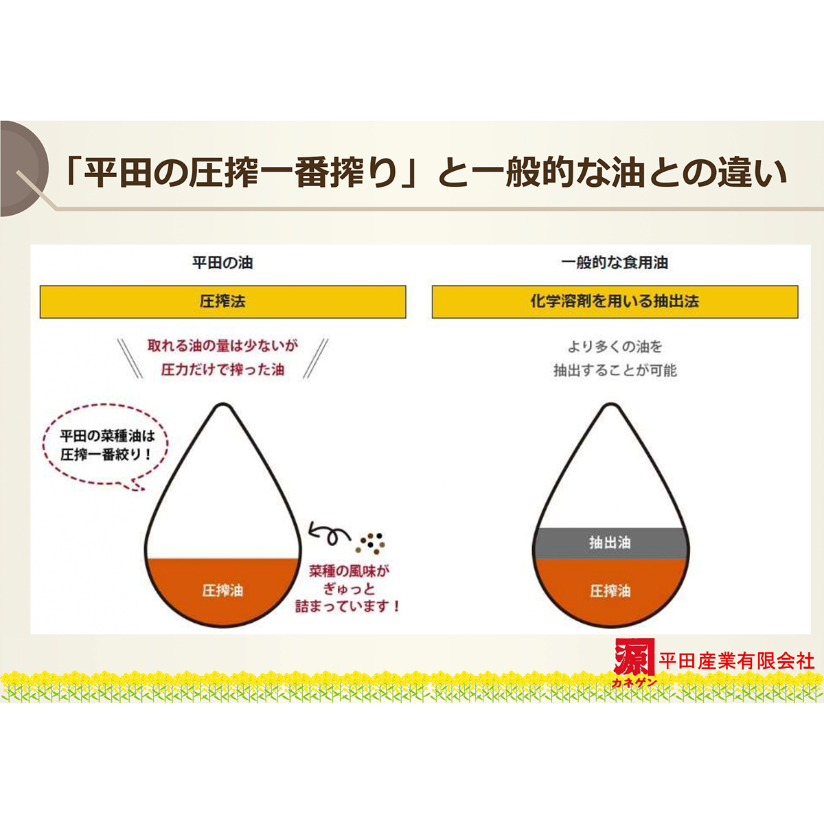 平田産業　国産なたねサラダ油　４５０ｇ 270122