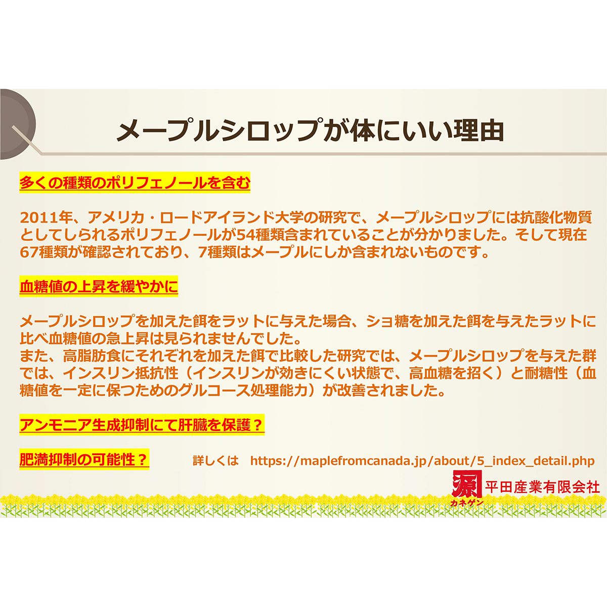 平田産業　ナチュラリーメープルシロップ　２５０ｇ 280625