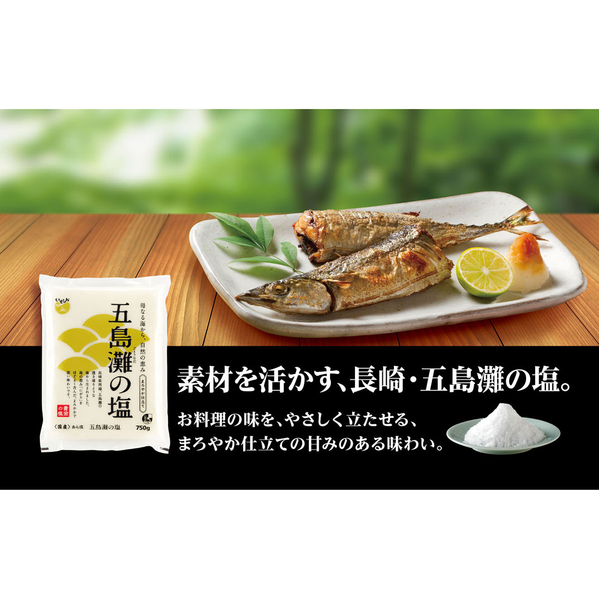 ダイヤソルト まろやか仕立て五島灘の塩 750g