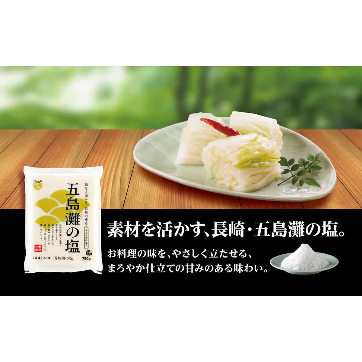 ダイヤソルト まろやか仕立て五島灘の塩 750g