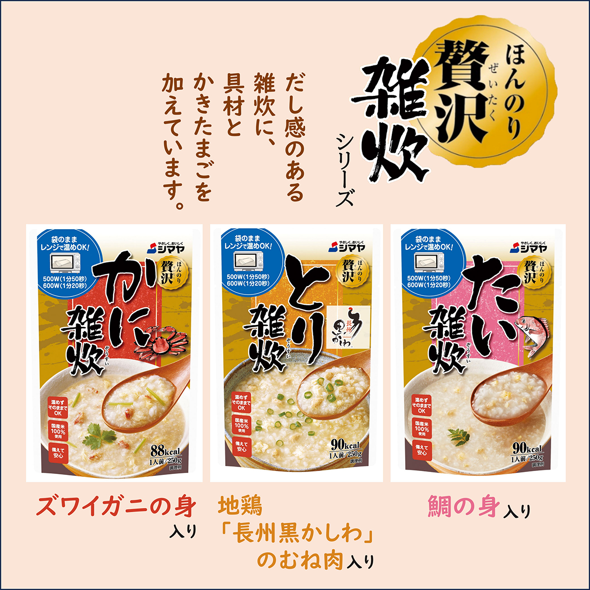 シマヤ　とり雑炊（レトルト）２５０ｇ