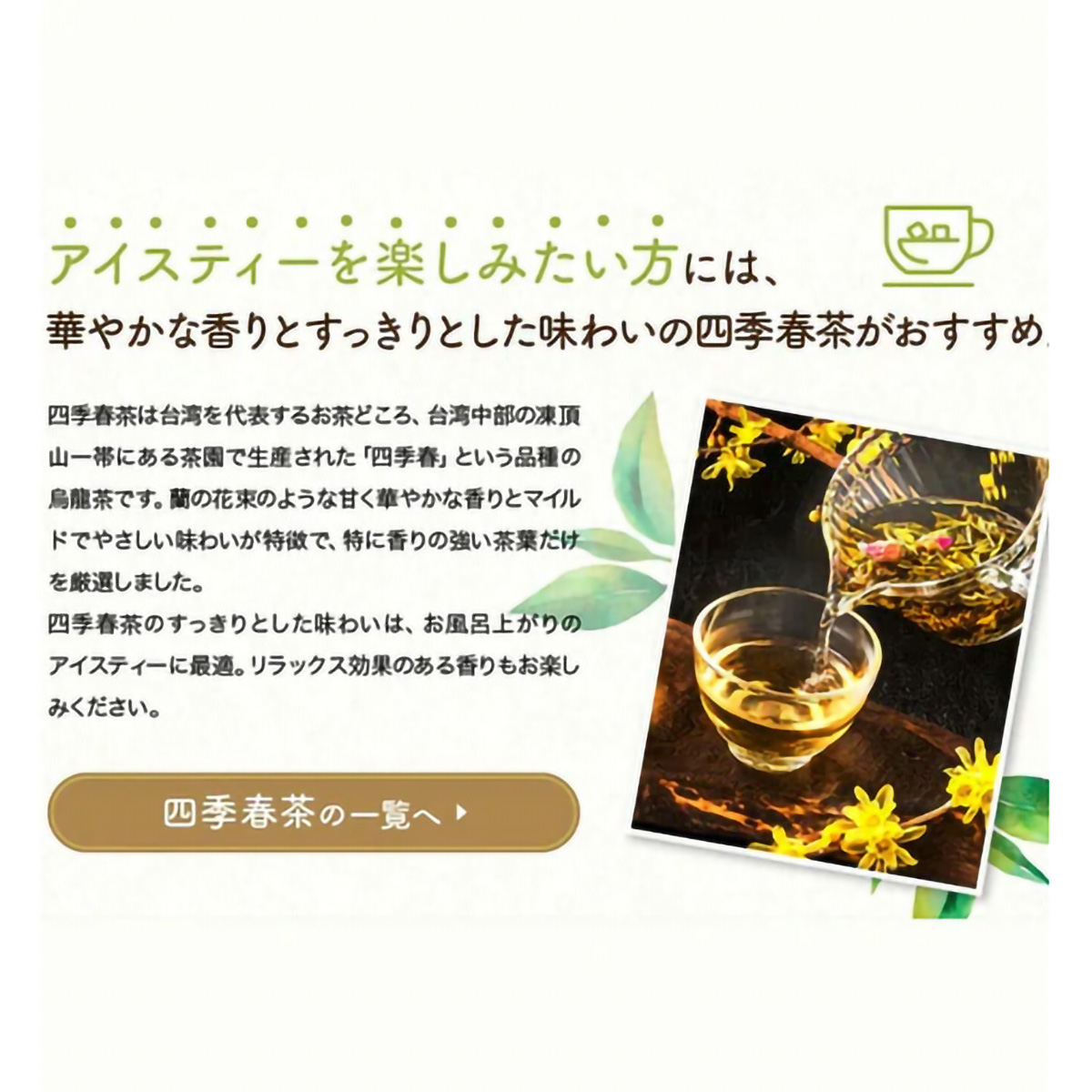 ＴｏｋｙｏＴｅａＴｒａｄｉｎｇ　久順銘茶　凍頂四季春茶　８０ｇ