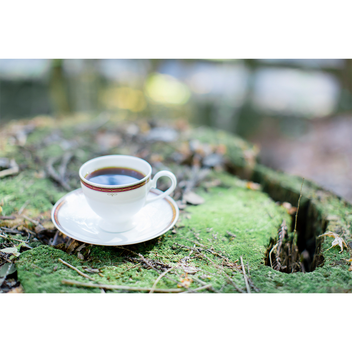 山本珈琲　クラシックオーガニックブレンド　１４０g