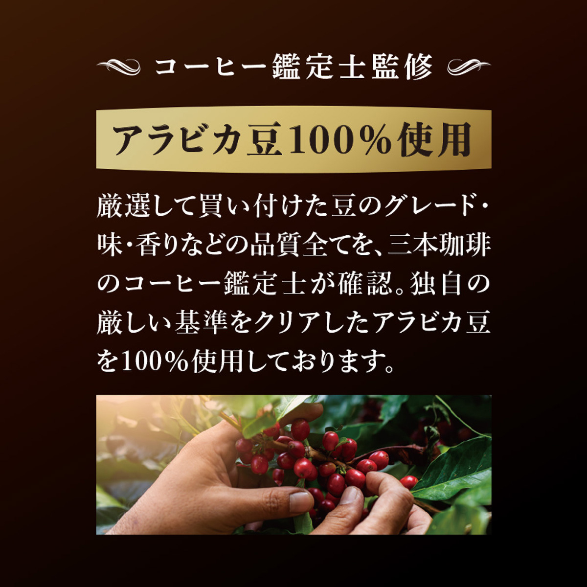 三本珈琲　ＧＯＬＤ　ＴＡＳＴＥ　ドリップトップ　豊かなコクのスペシャルブレンド８杯　