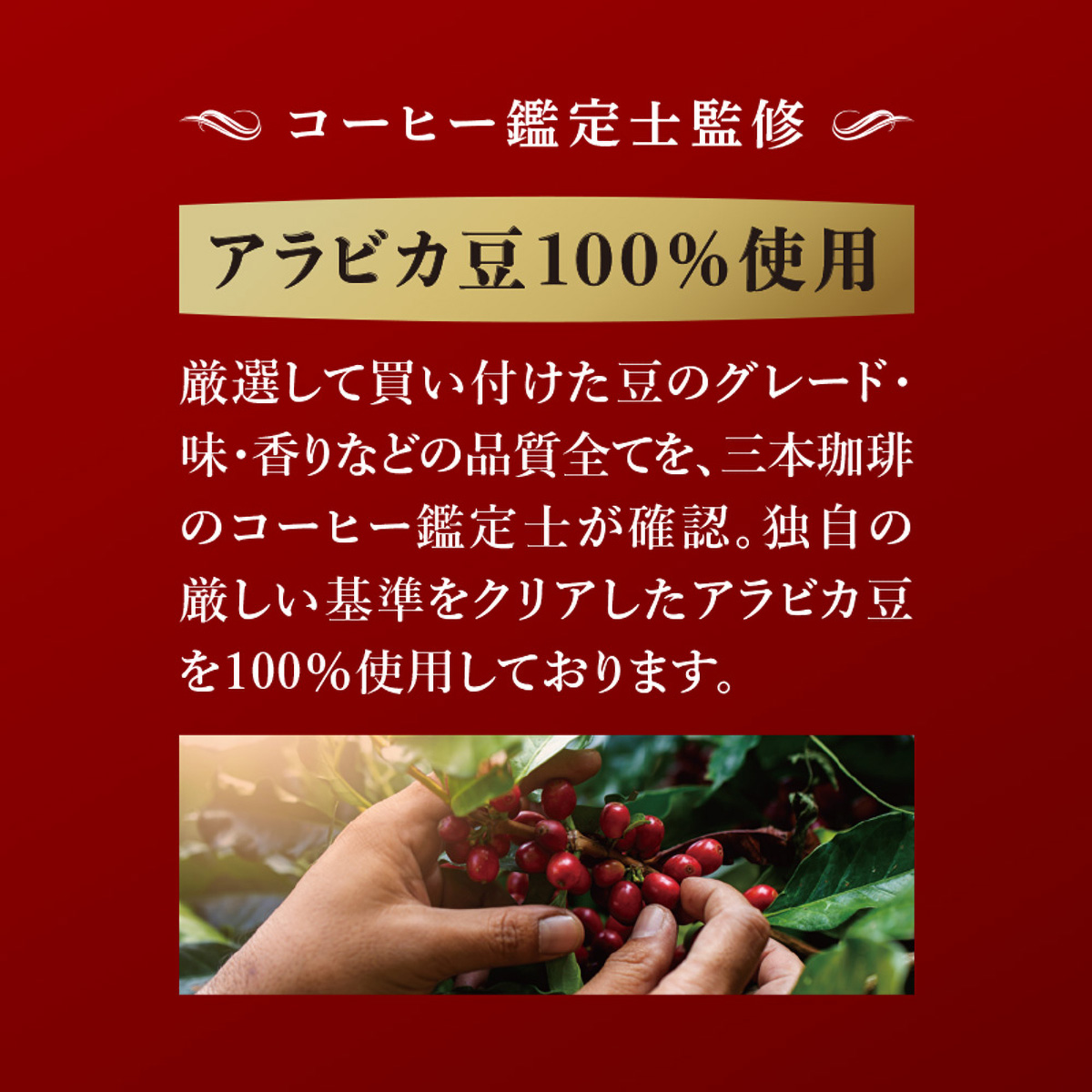 三本珈琲　ＧＯＬＤ　ＴＡＳＴＥ　ドリップトップ　香り高く華やかなモカブレンドブレンド８杯