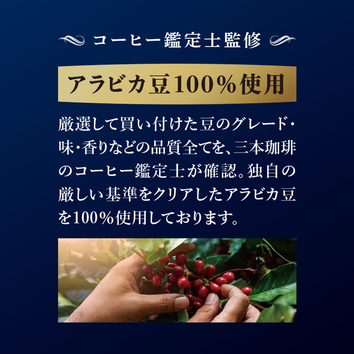 三本珈琲　ＧＯＬＤ　ＴＡＳＴＥ　ドリップトップ　深い苦みのエスプレッソブレンド８杯