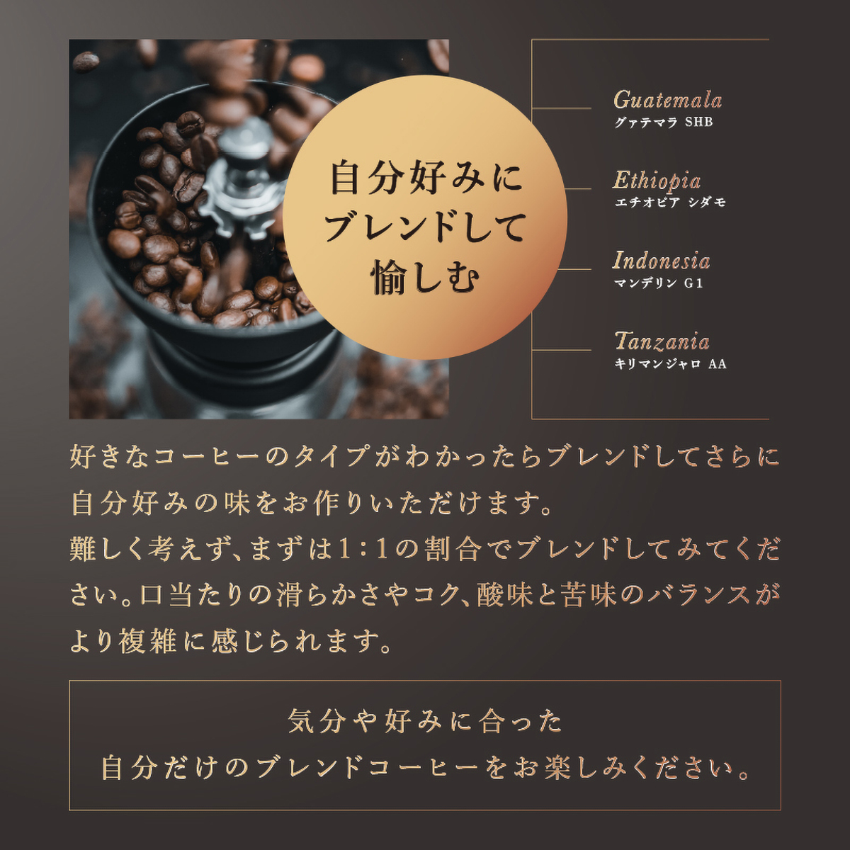 三本珈琲　ストレートコーヒー　エチオピア　シダモ（粉）１２０ｇ