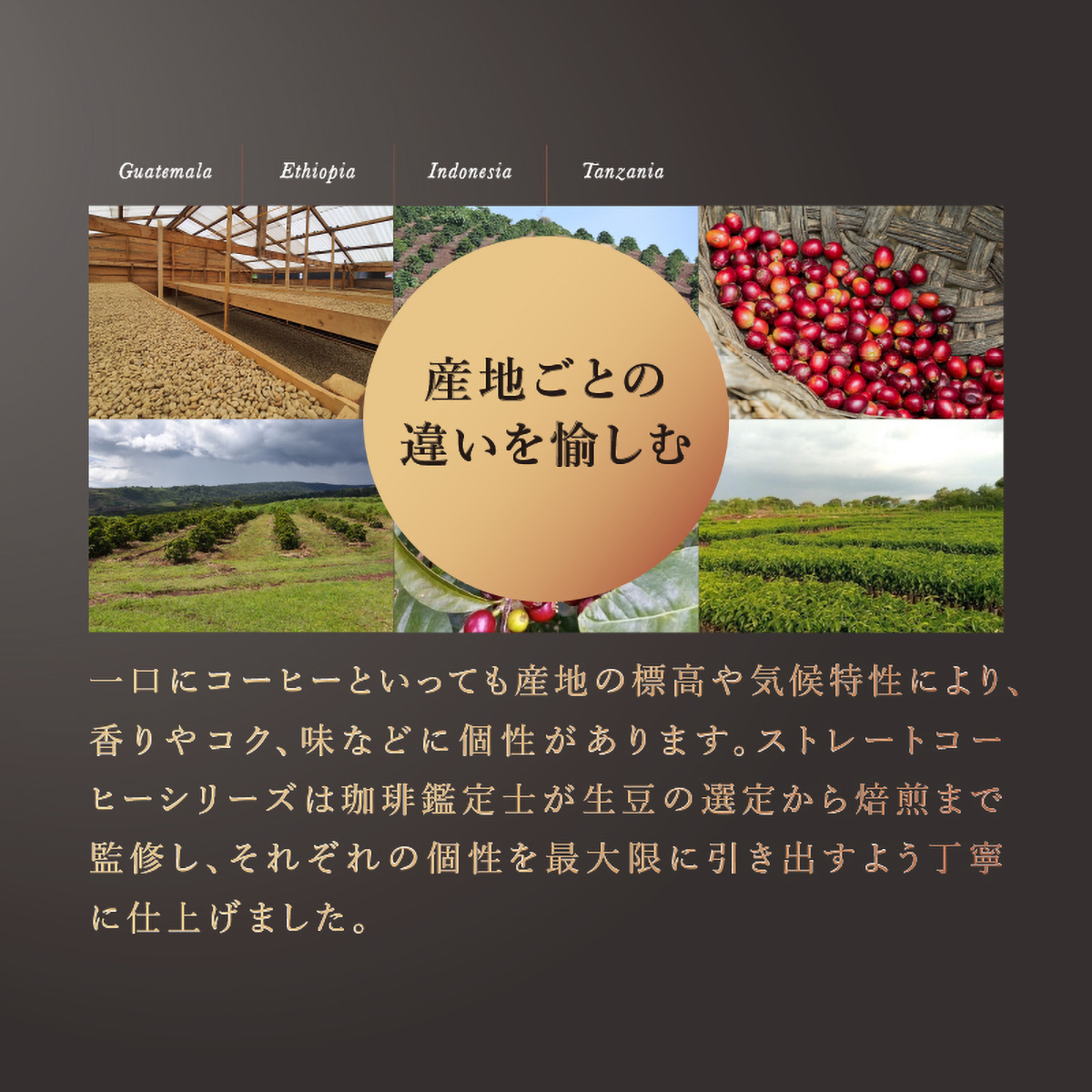 三本珈琲　ストレートコーヒー　マンデリン　Ｇ１（粉）１２０ｇ