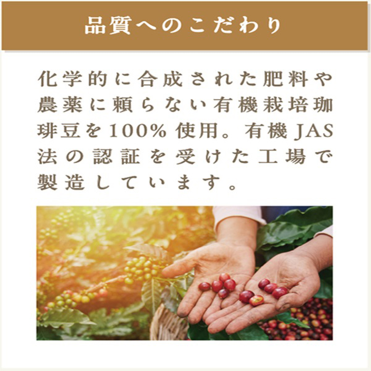 三本珈琲　オーガニックコーヒー　オリジナルブレンド　１５０ｇ（粉）