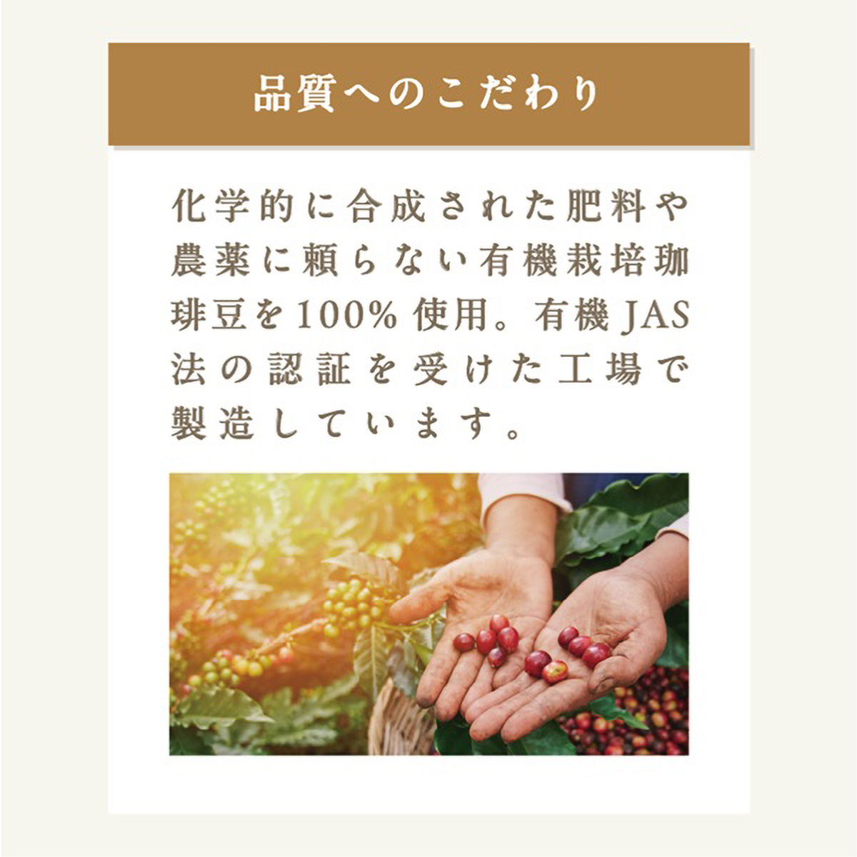 三本珈琲　オーガニックコーヒー　マイルドブレンド　１５０ｇ（粉）