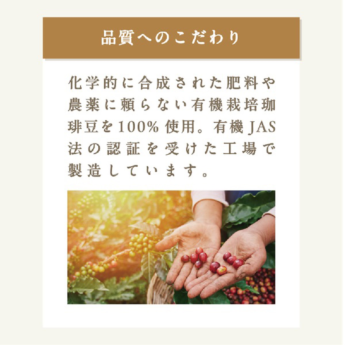 三本珈琲　オーガニックコーヒー　ビターブレンド　１５０ｇ（粉）