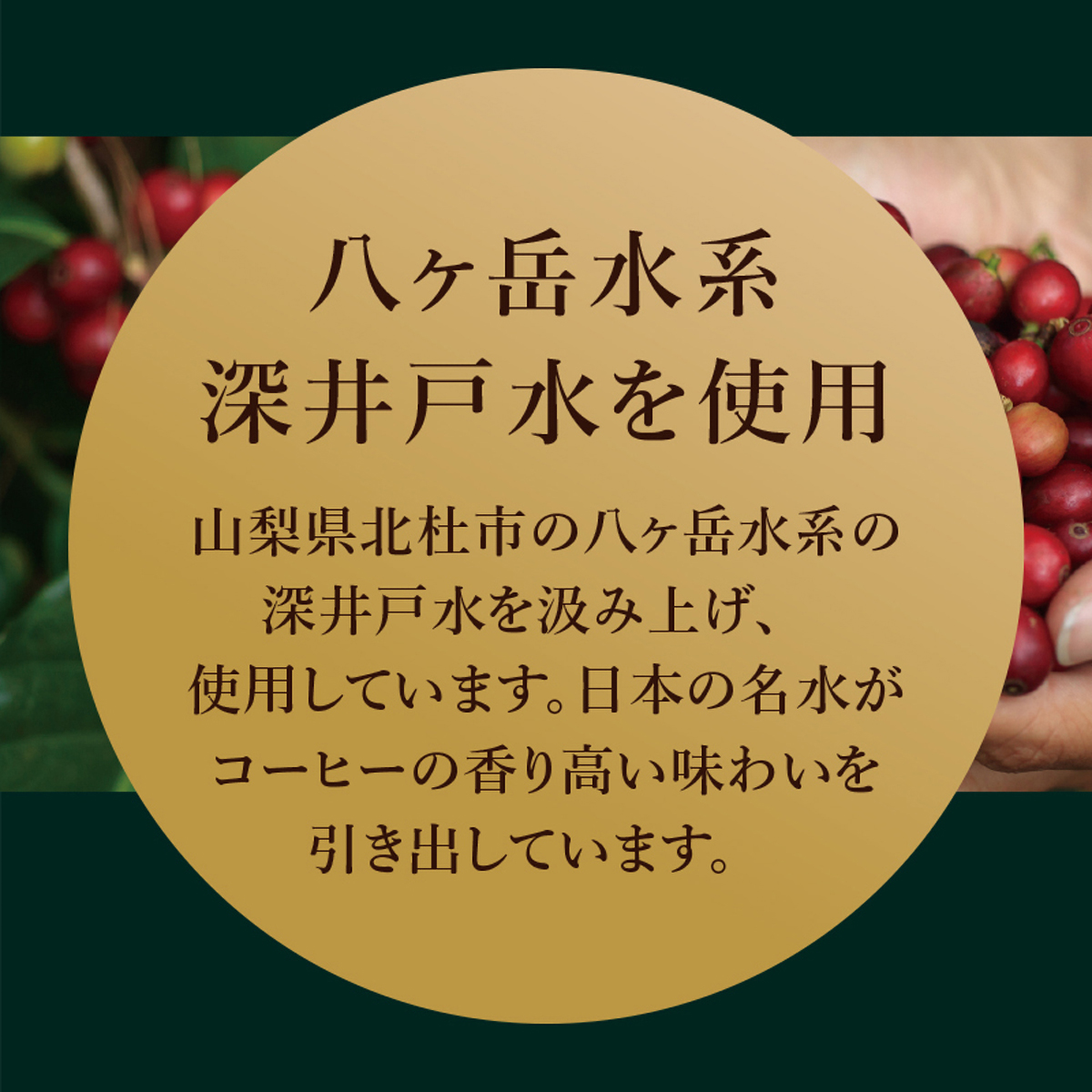三本珈琲　オーガニックアイスコーヒー１０００ｍｌ　（無糖）