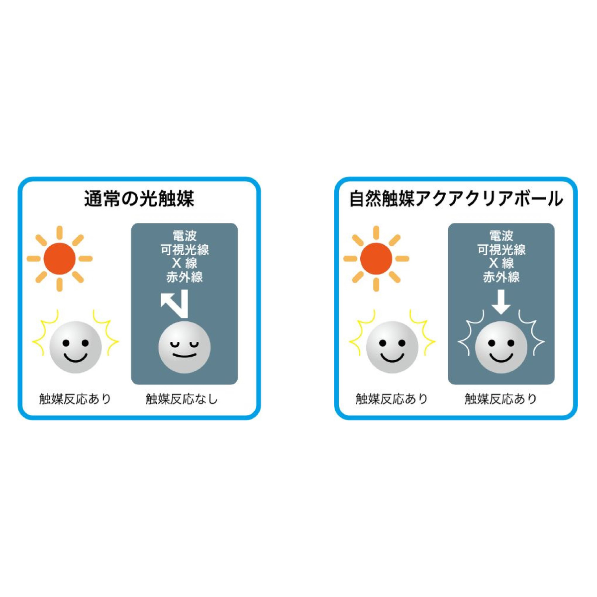 簡単除菌アクアクリアボール　大型タンク用（約5L用）