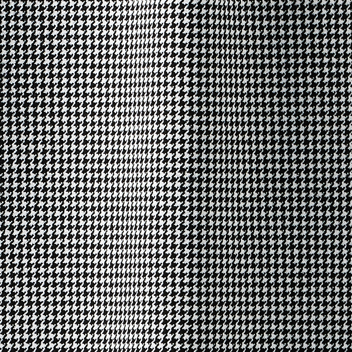 尾州千鳥バルーン