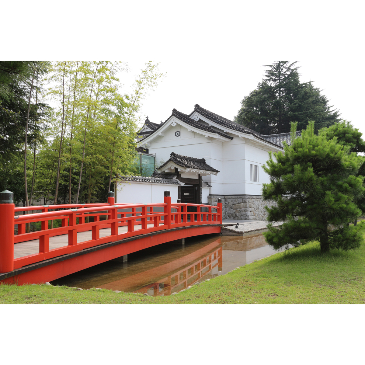 亀甲萬本店　御用蔵生 260331