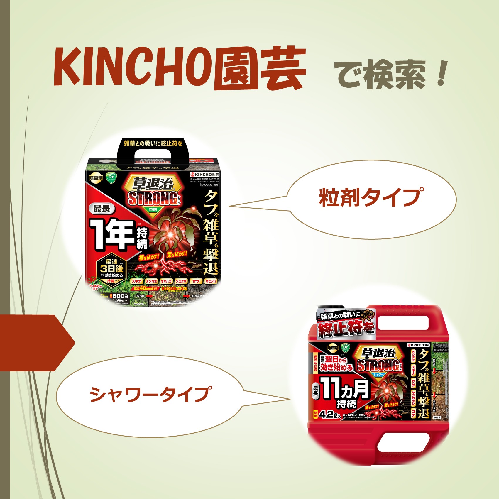 KNC0000001_sskm_15.jpg