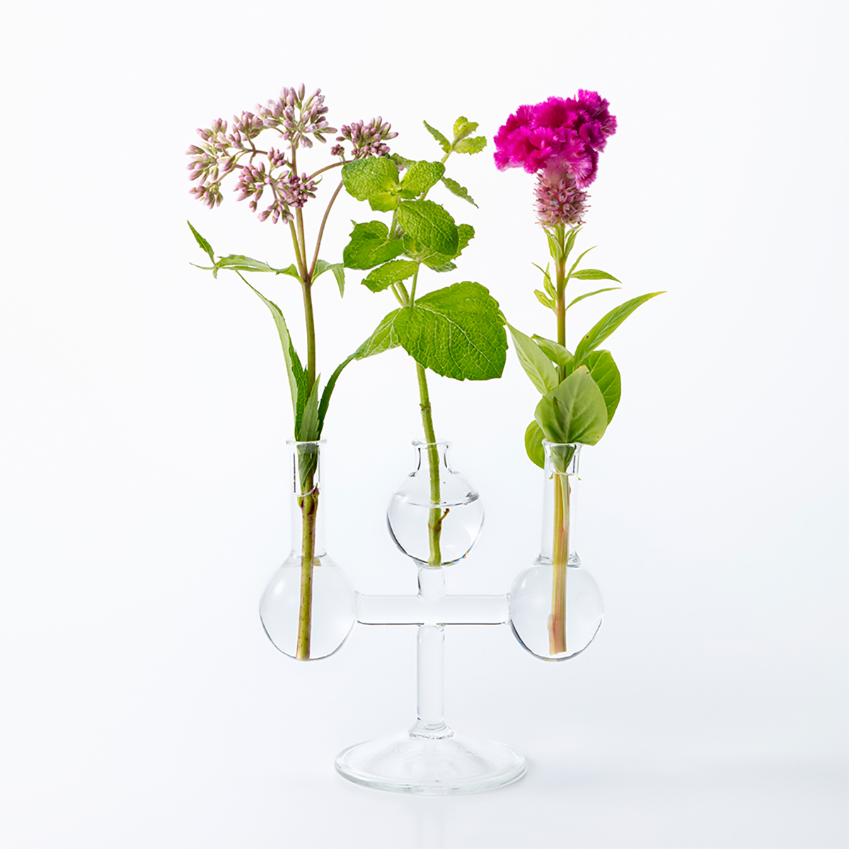 理化学ガラスの花瓶 MEDIFLA TRIPLETS